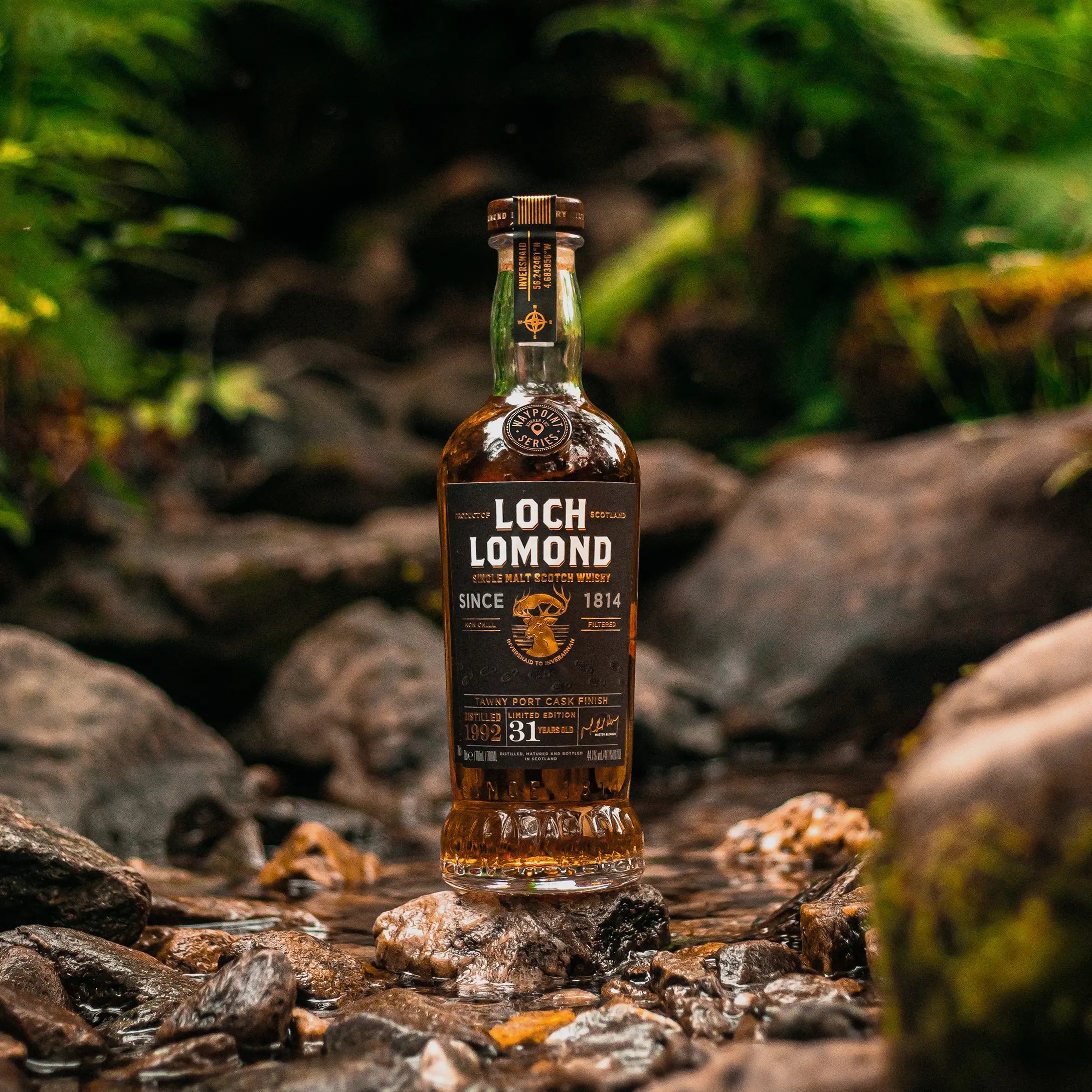 Loch Lomond Waypoint Series Edition 3 - Inversnaid to Inverarnan 31 year old Whisky